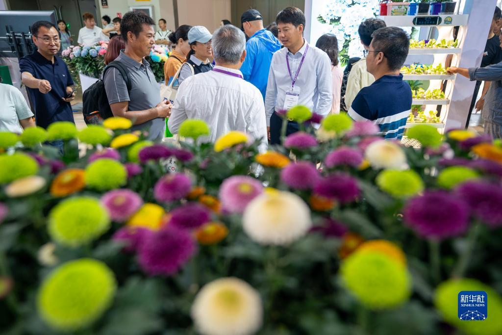 790游戏微信客服上下分